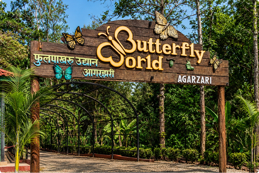 Butterfly Garden